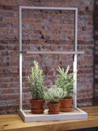 Coltura LED grow lights from Gardeners.com