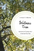 Witness Tree by Lynda Mapes