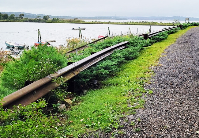 Vegetated buffer, erosion control