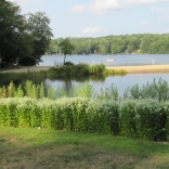 lake buffer garden