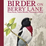 Birder on Berry Lane by Robert Tougias