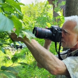 Brian Stewart has catalog 725 insect species in his quarter-acre acre yard