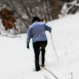 Walking winter trail at state park