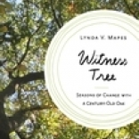 Witness Tree by Lynda Mapes